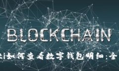 biao ti如何查看数字钱包明细：全面指南