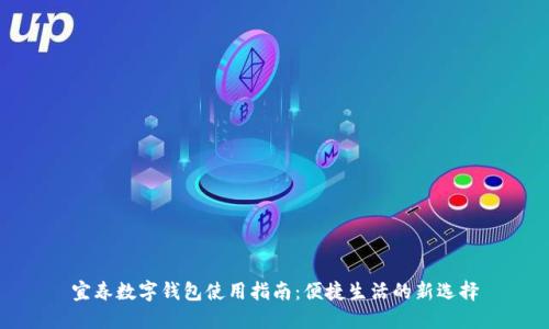 宜春数字钱包使用指南：便捷生活的新选择