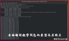 全面解析数字钱包的类型