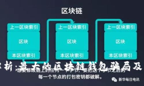 深入解析：最大的区块链钱包骗局及其教训