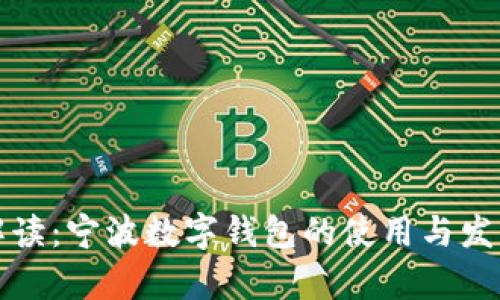 全面解读：宁波数字钱包的使用与发展前景