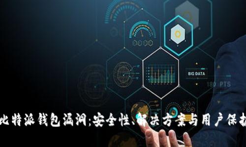 揭秘比特派钱包漏洞：安全性、解决方案与用户保护指南