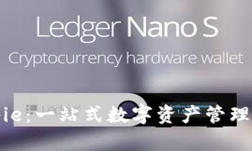 全面解析Bitpie：一站式数字资产管理平台视频教学