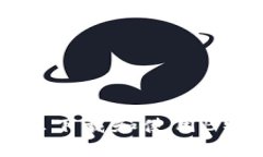 如何在苹果设备上下载和